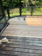 deck-repair